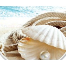 ΚΆΛΥΜΜΑ ΛΕΚΆΝΗΣ ΠΛΑΣΤΙΚΌ ΜΕ ΣΧΈΔΙΟ OEM 2023